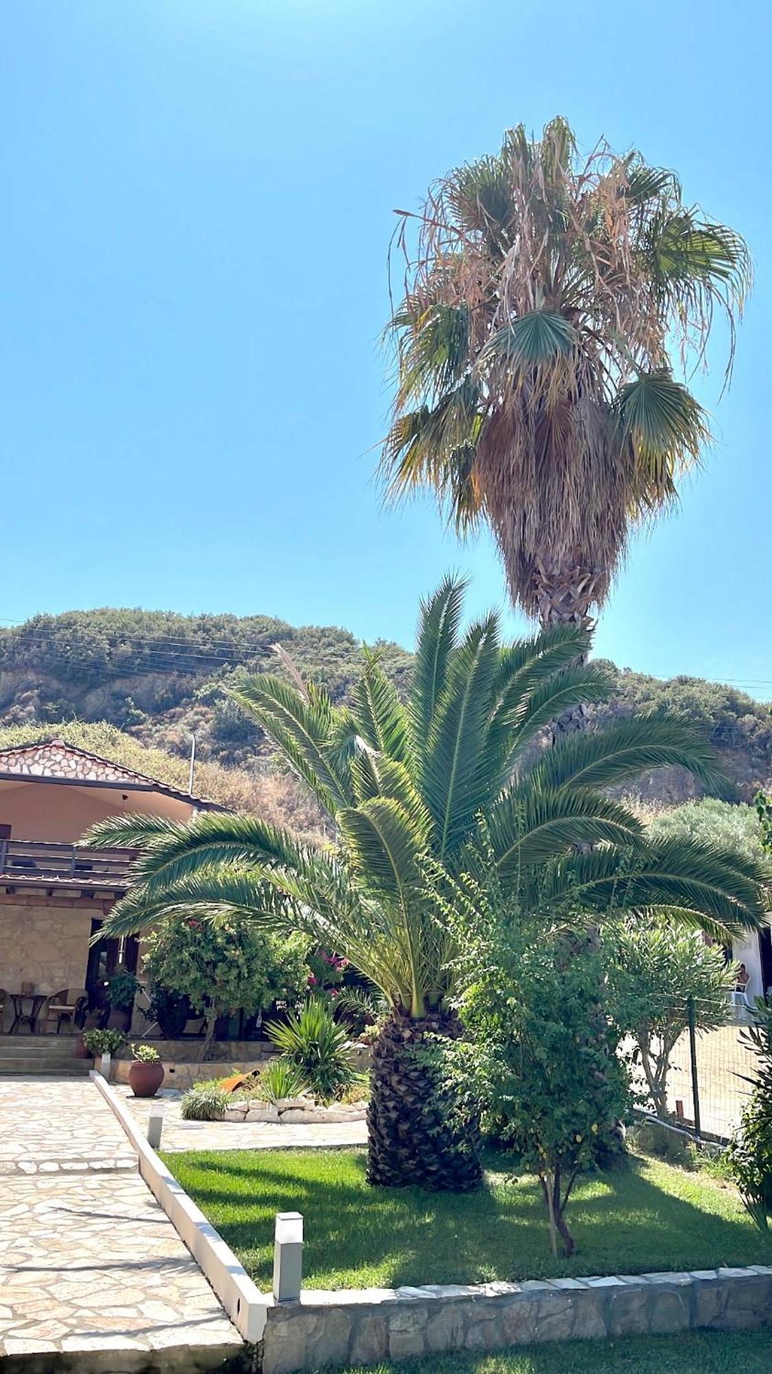 Palma Beach House Szárti Kültér fotó