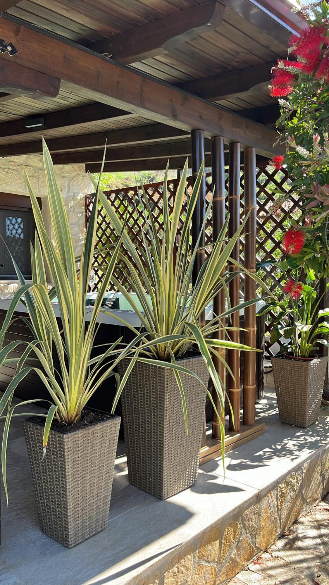 Palma Beach House Szárti Kültér fotó